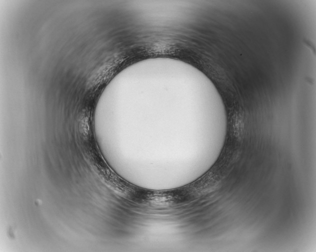 X0000103950746200810031345