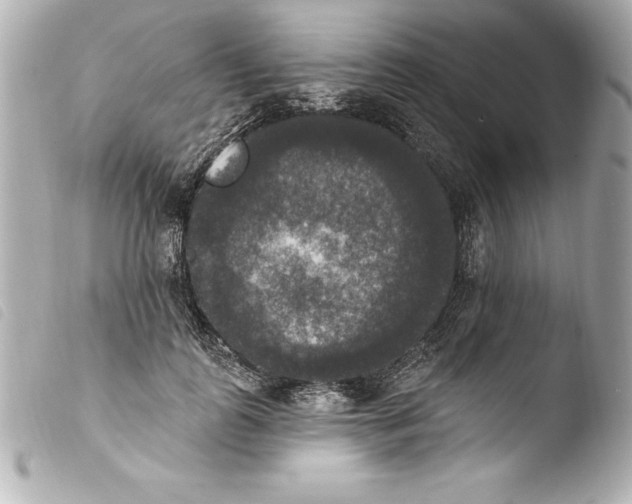 X0000103950747200810031345