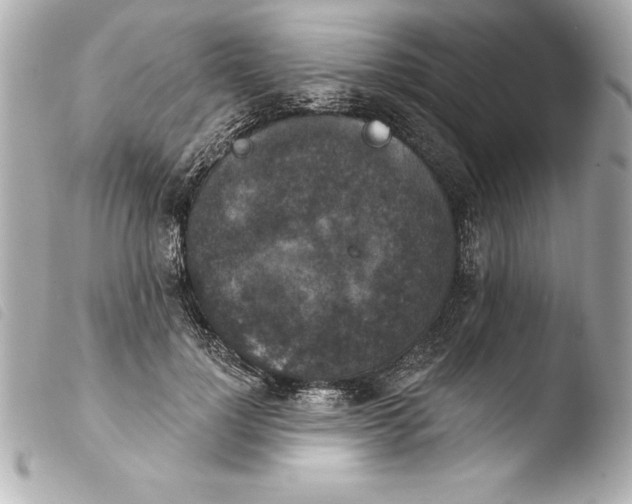 X0000103950748200810031345