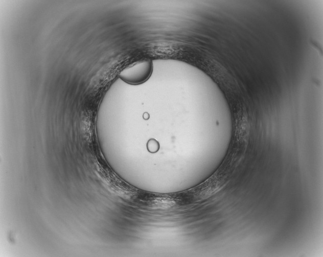 X0000103950749200810031345