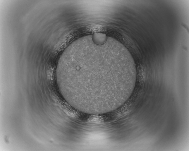 X0000103950750200810031345