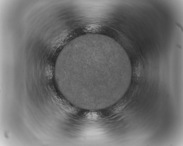 X0000103950751200810031345