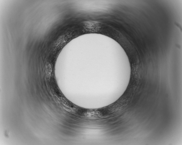 X0000103950752200810031345