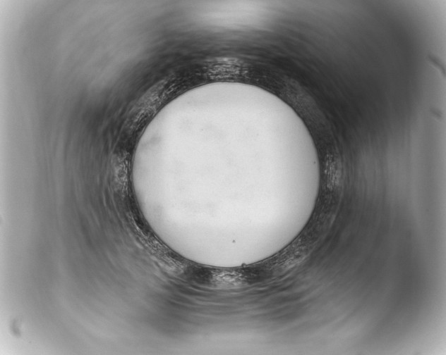 X0000103950753200810031345