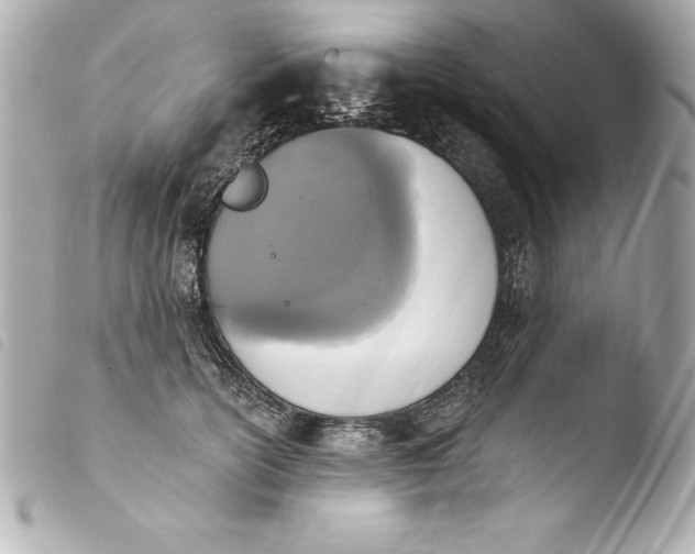 X0000103950754200810031345