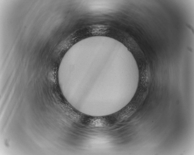 X0000103950755200810031345