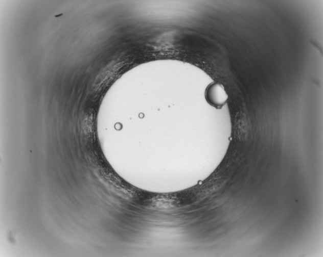 X0000103950756200810031345