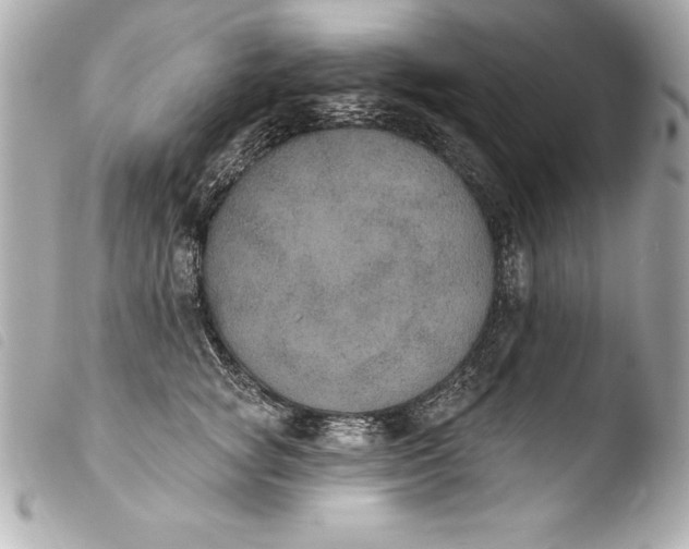 X0000103950757200810031345