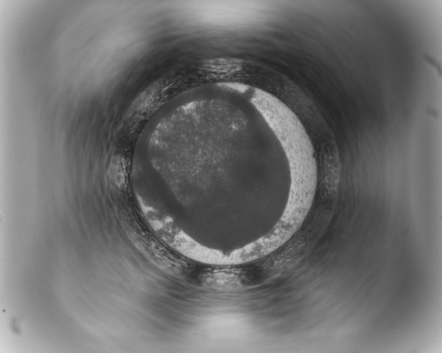 X0000103950758200810031345