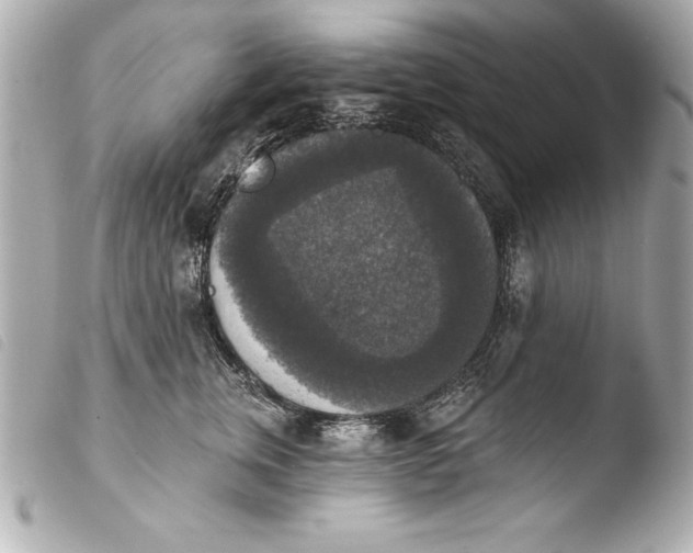 X0000103950759200810031345