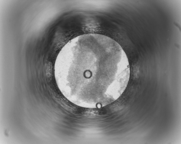 X0000103950760200810031345