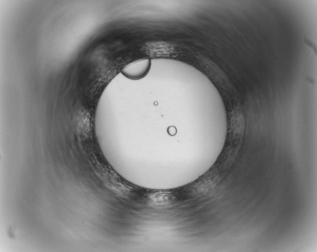 X0000103950761200810031345