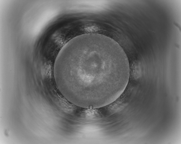 X0000103950762200810031345