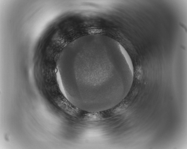 X0000103950763200810031345