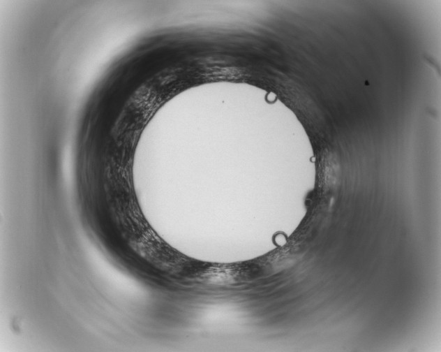 X0000103950764200810031345