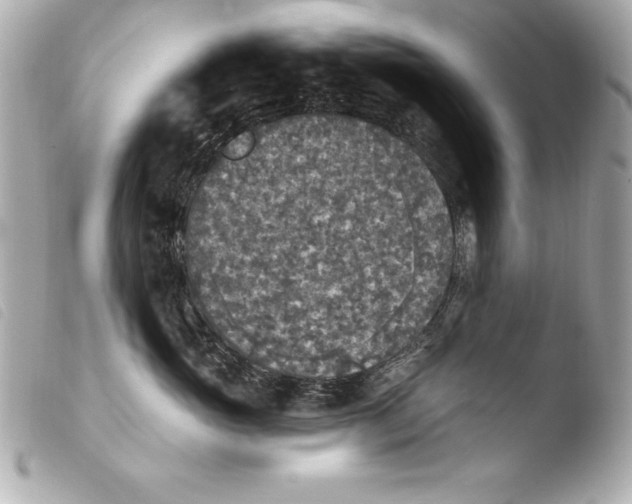 X0000103950765200810031345