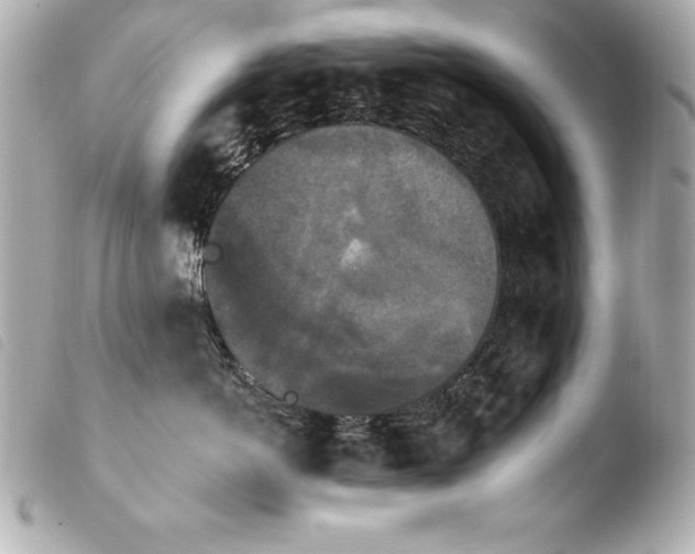 X0000103950766200810031345