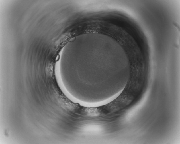 X0000103950767200810031345