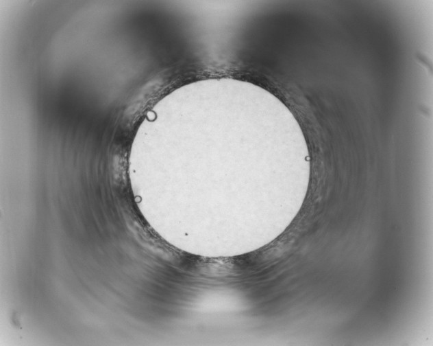 X0000103950768200810031345