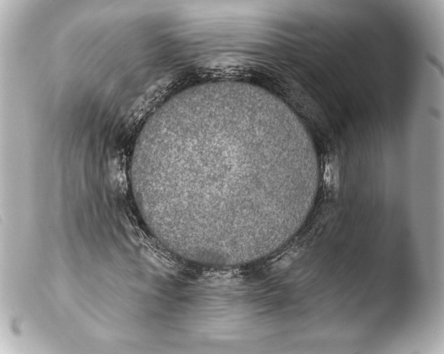 X0000103950771200810031344