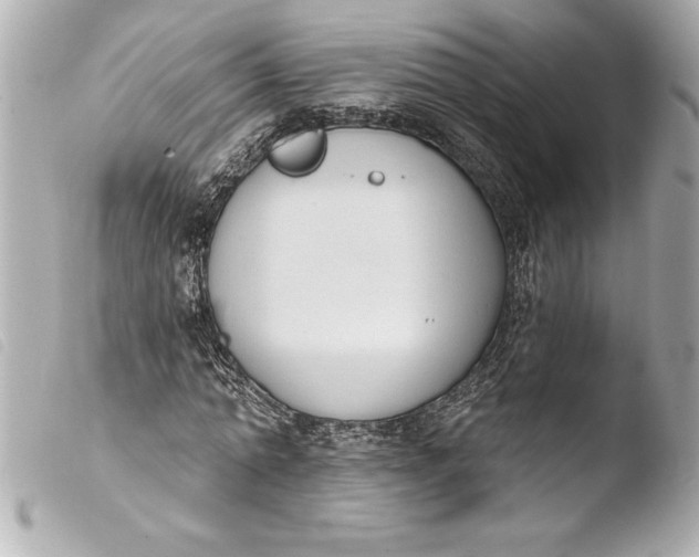 X0000103950774200810031344