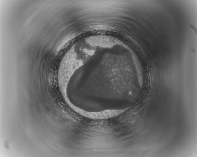 X0000103950775200810031344