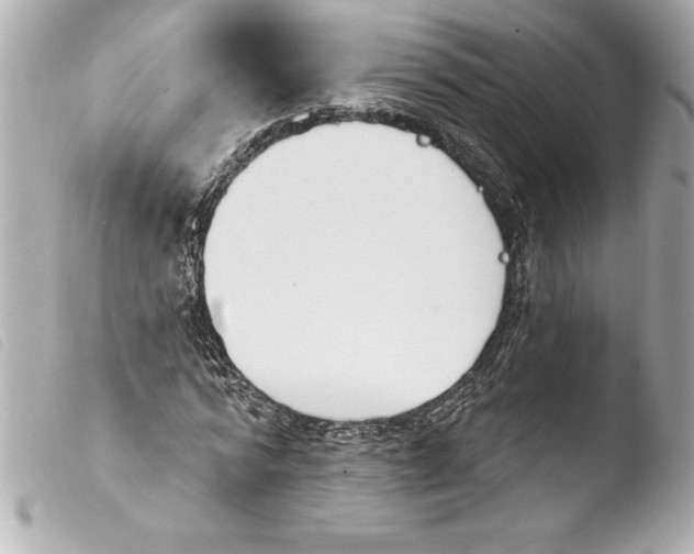 X0000103950776200810031344