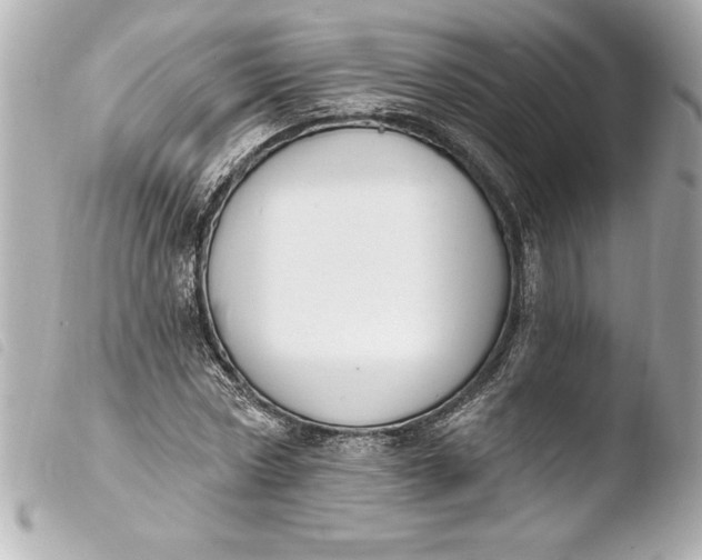 X0000103950778200810031344