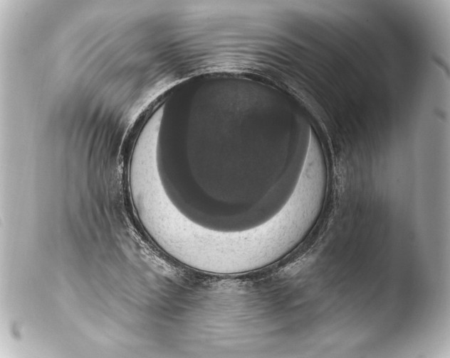 X0000103950779200810031344