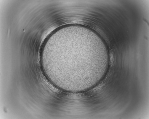 X0000103950780200810031344