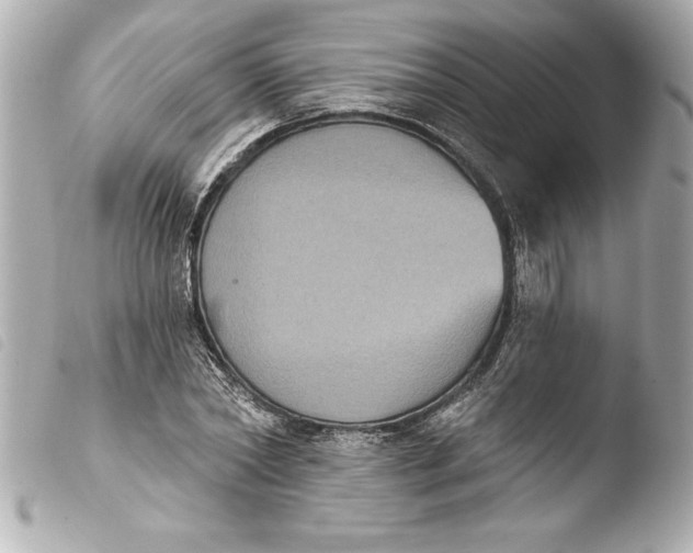 X0000103950782200810031344