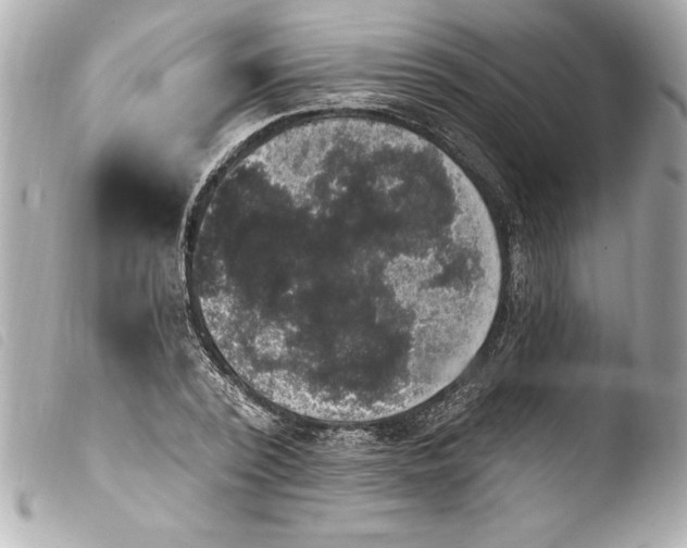 X0000103950784200810031344