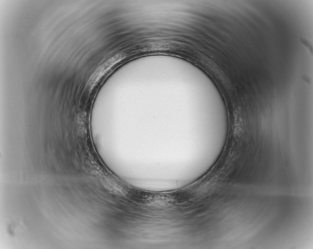 X0000103950786200810031344