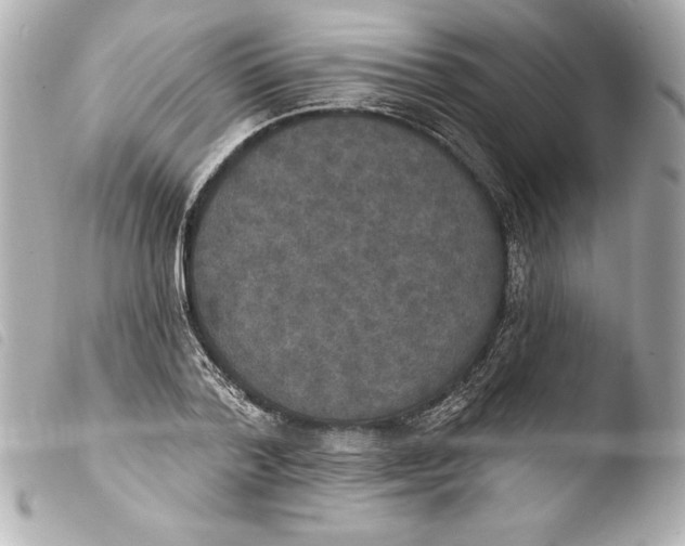 X0000103950788200810031344