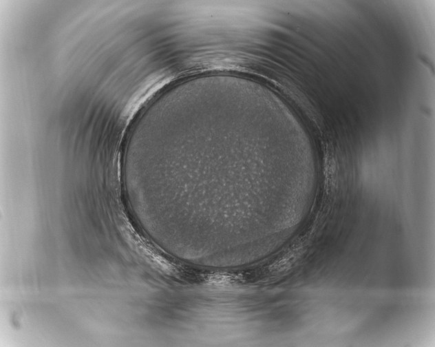 X0000103950790200810031344