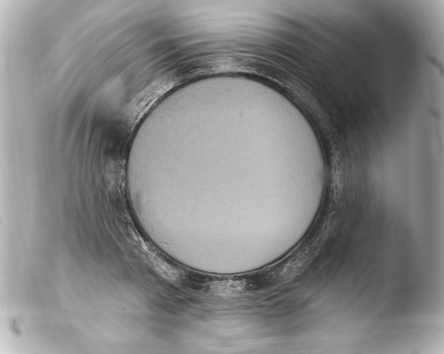 X0000103950793200810031344