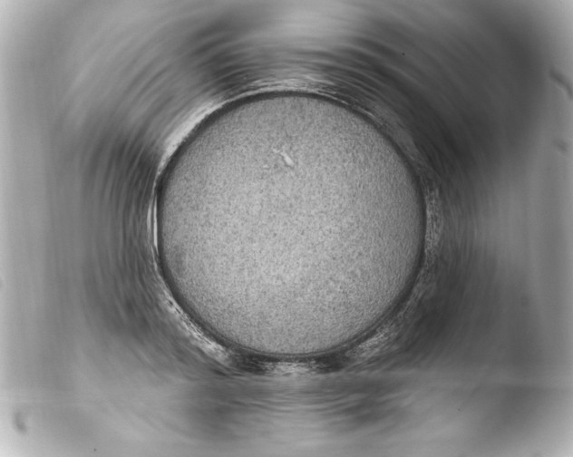 X0000103950796200810031344