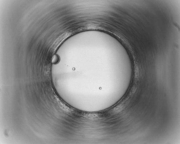 X0000103950801200810031344