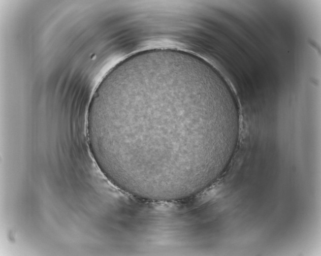 X0000103950815200810031344