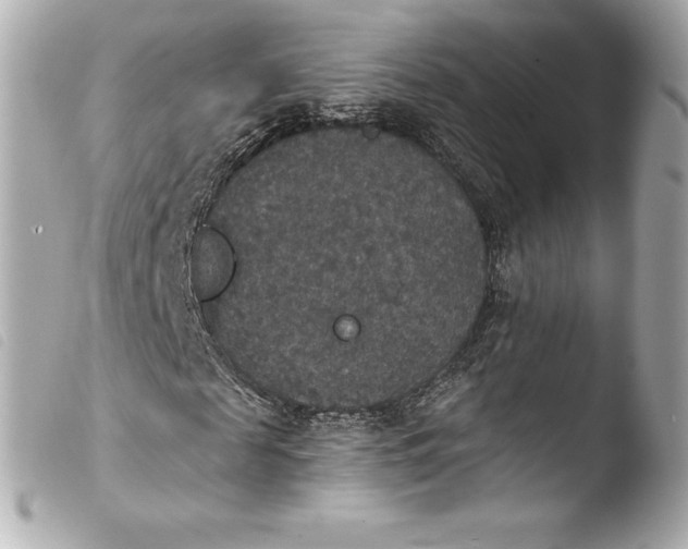 X0000103950817200810031343