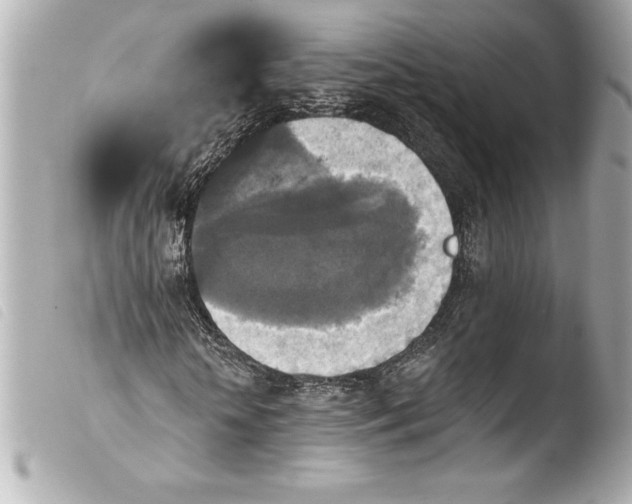 X0000103950818200810031343