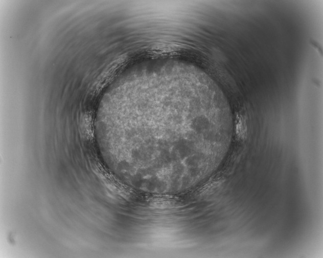 X0000103950819200810031343