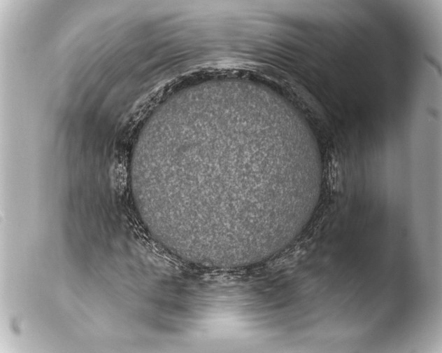 X0000103950821200810031343