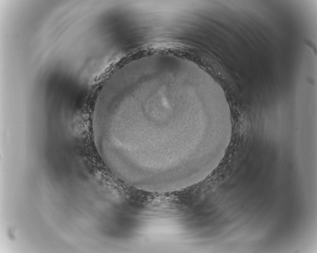 X0000103950824200810031343