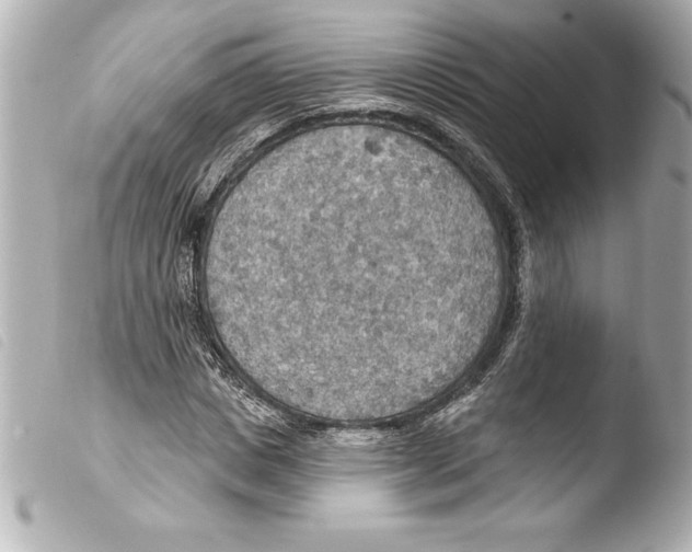 X0000103950825200810031343