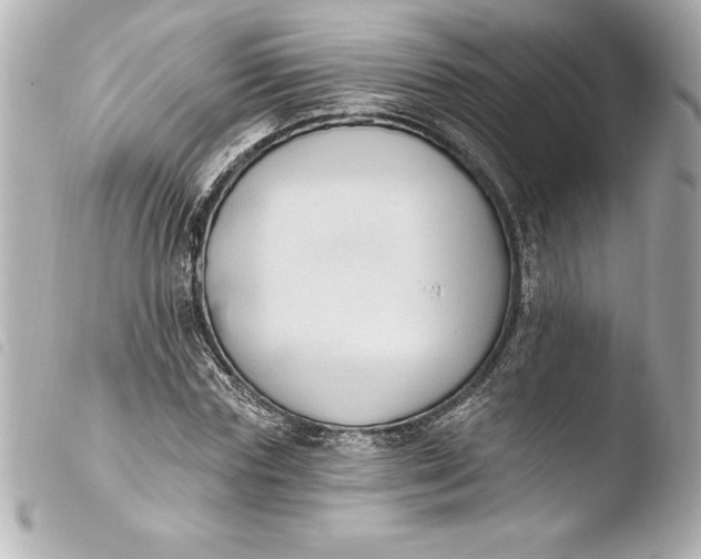 X0000103950827200810031343