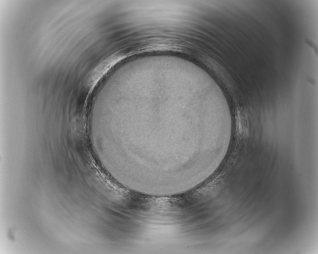 X0000103950828200810031343