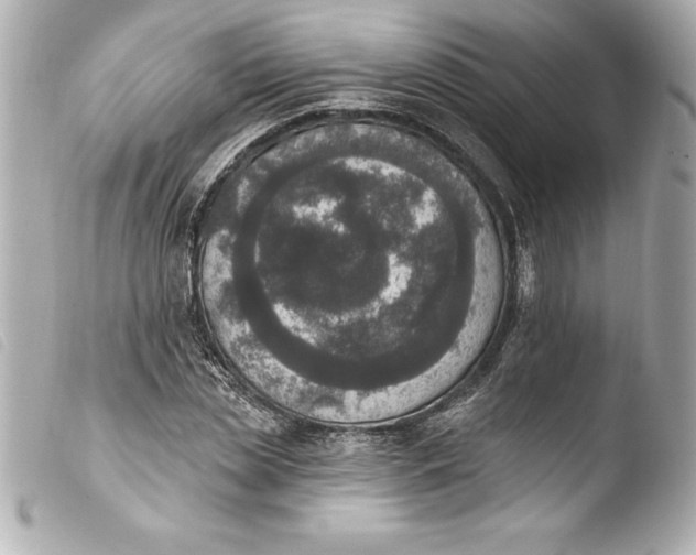 X0000103950829200810031343