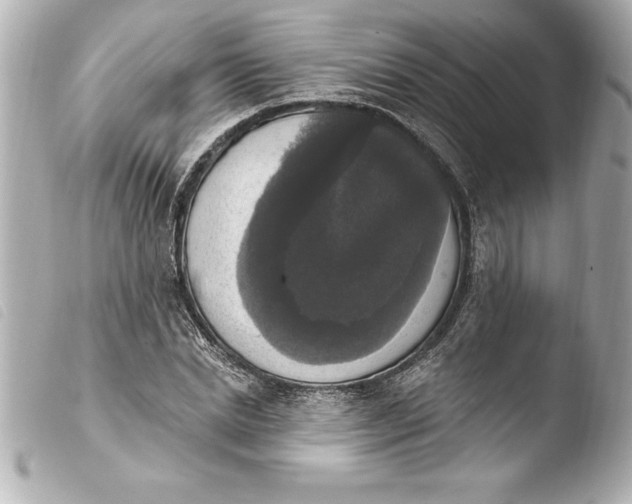 X0000103950830200810031343