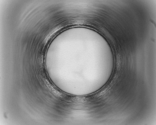 X0000103950831200810031343